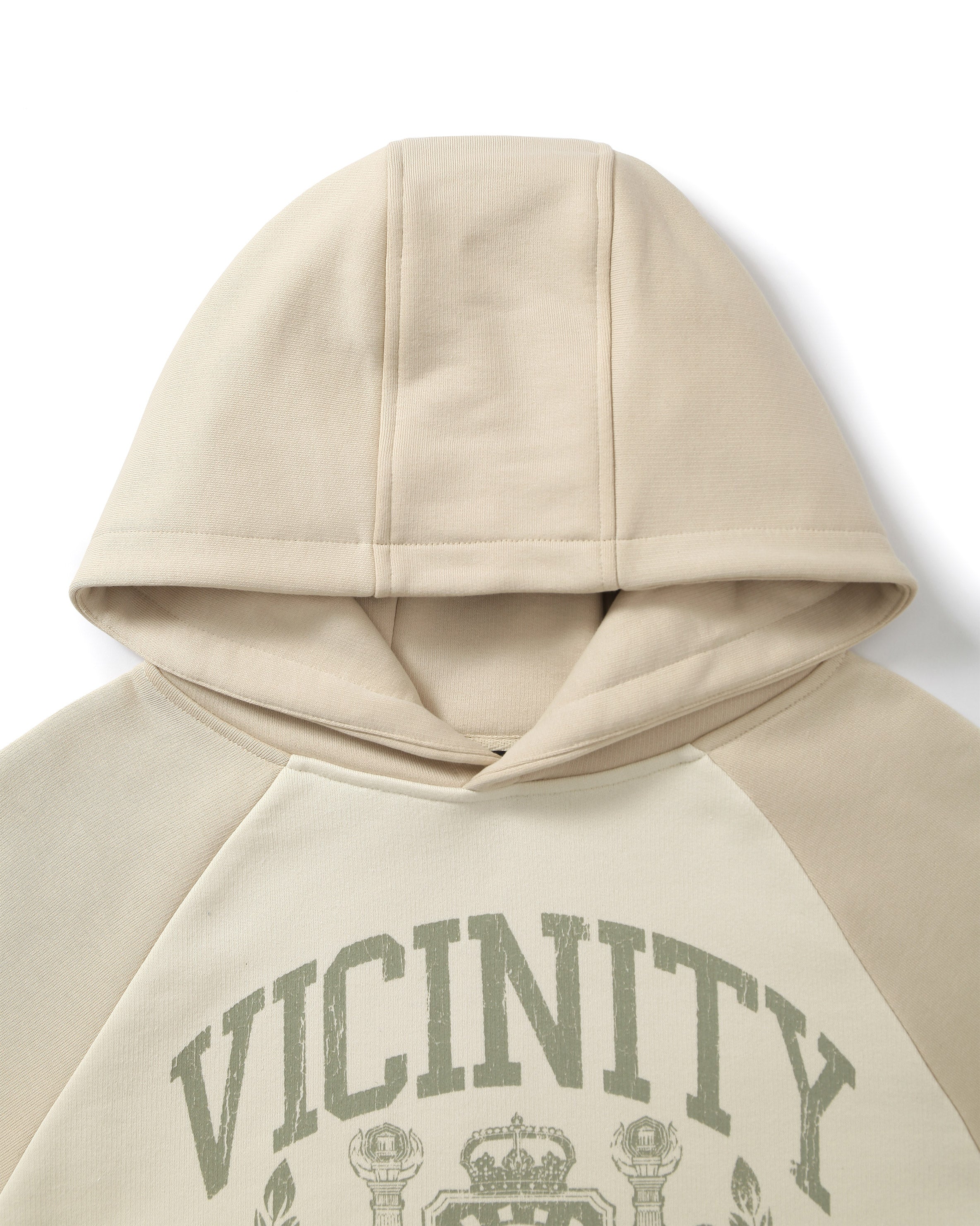 INSTITUTE HOODIE BEIGE - Image 9