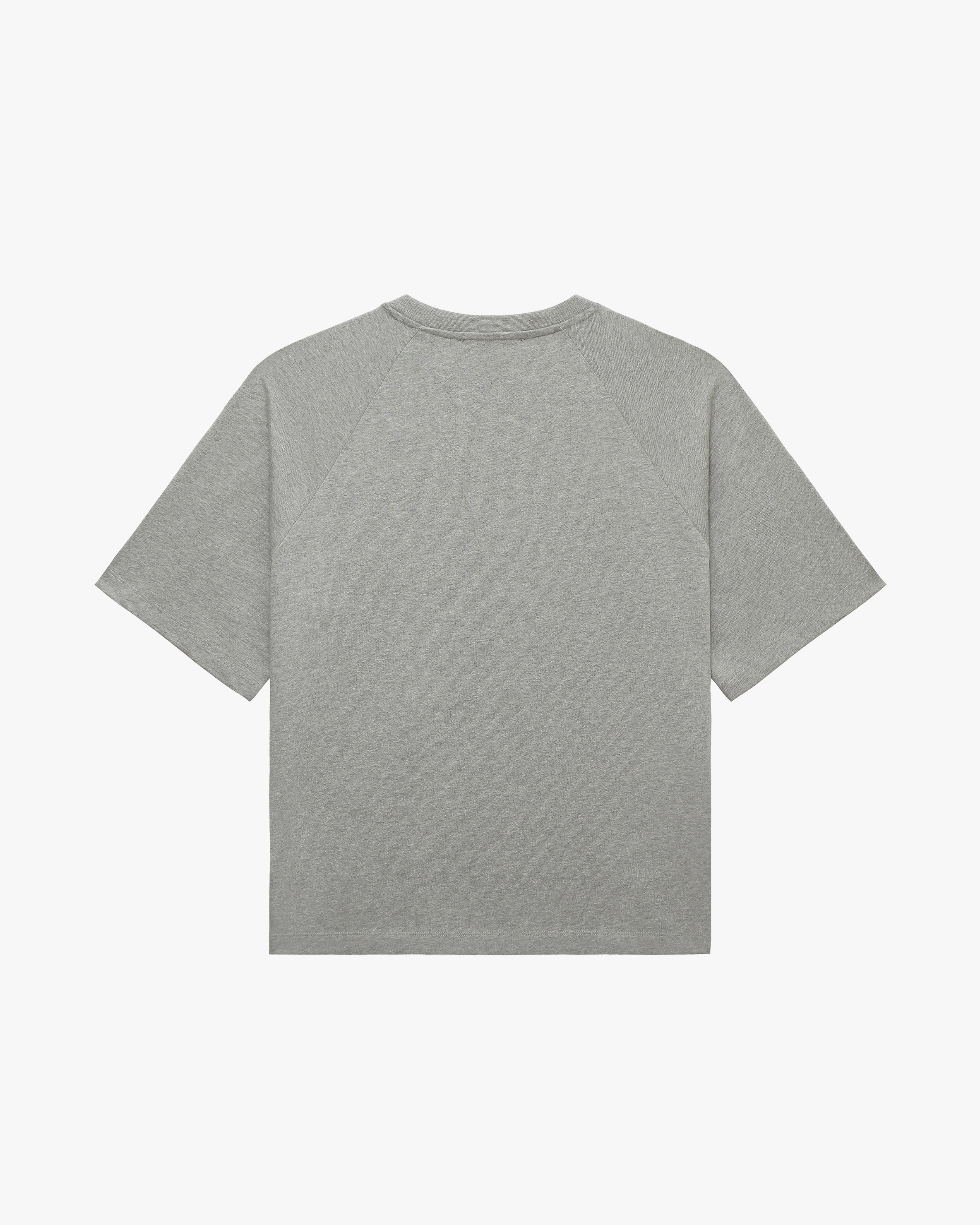 INSTITUTE TEE GREY MELANGE - Image 3