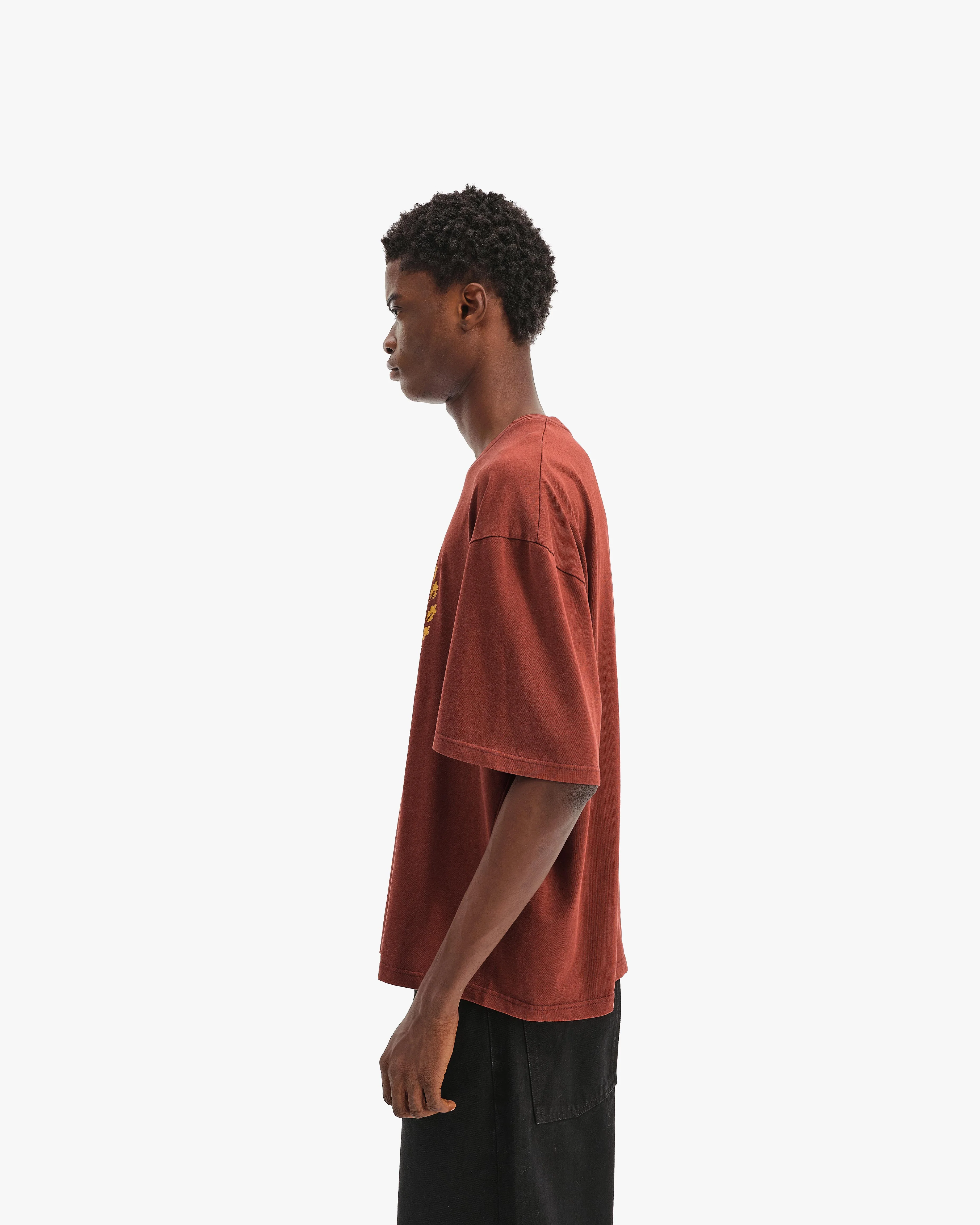 PASSPORT TEE WASHED RED - Image 5